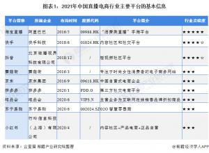 2.中国直播电商行业市场份额分析其本质仍然是电子商务